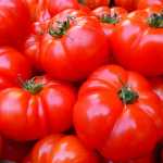 Tomaten